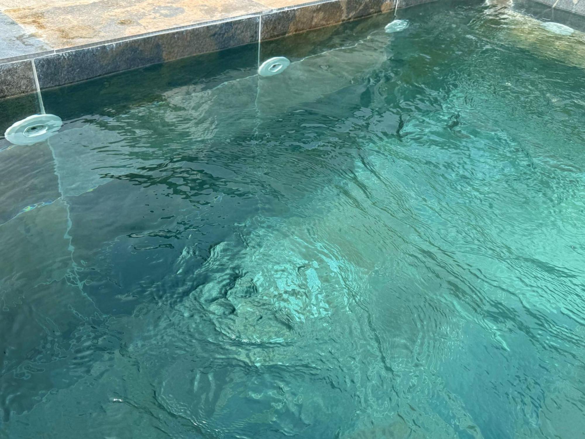 Central Villa With Pool Garden 5Km Sea Cabo Tétouan 外观 照片